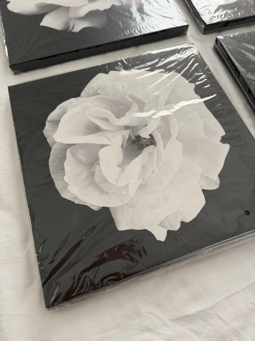 Black & White Floral Canvas Wall Art - Set of 4 - Picture 2 of 12